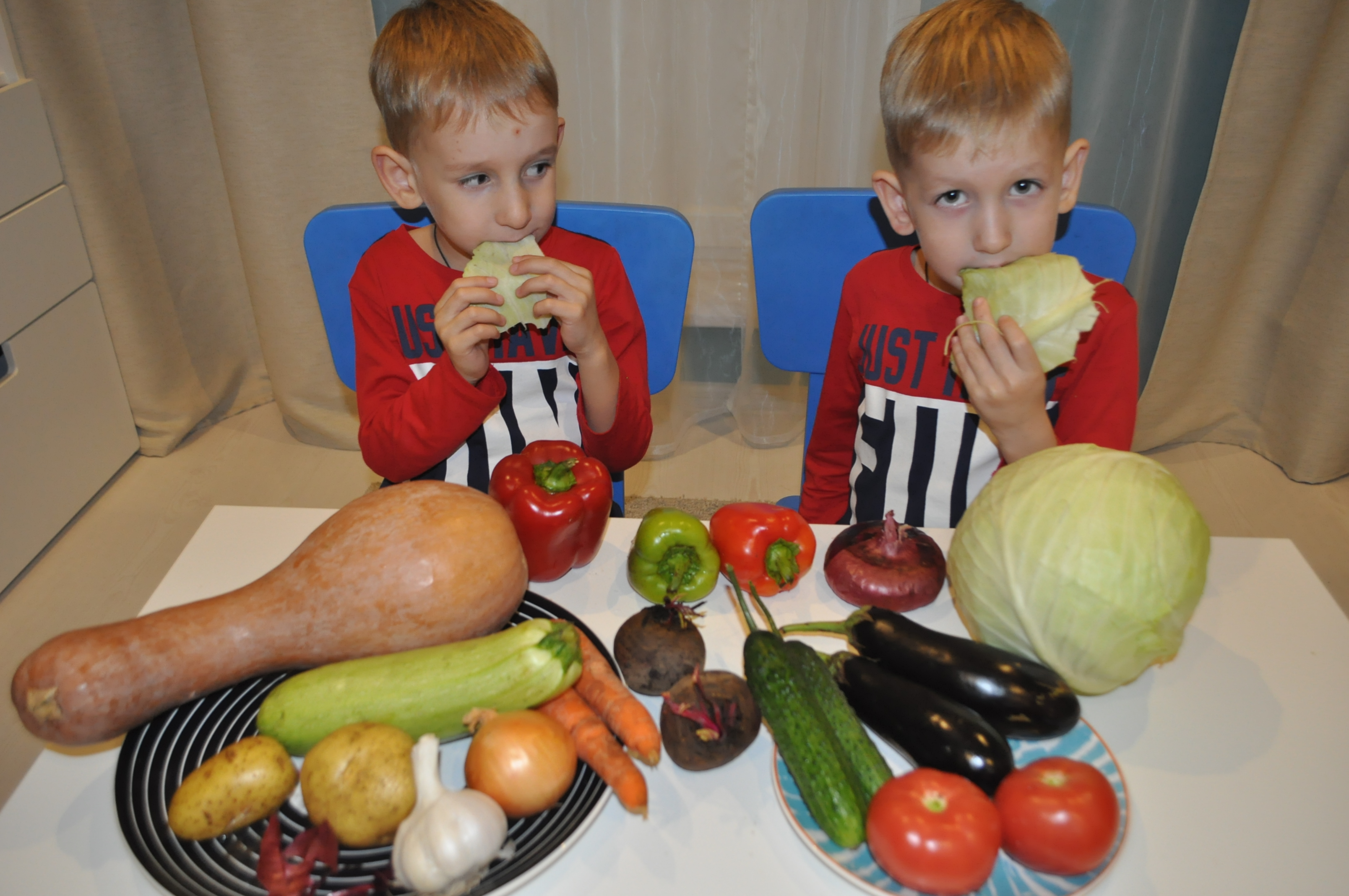 Дети кушали капусту, огурцы, лук, морковь, чеснок и помидор.